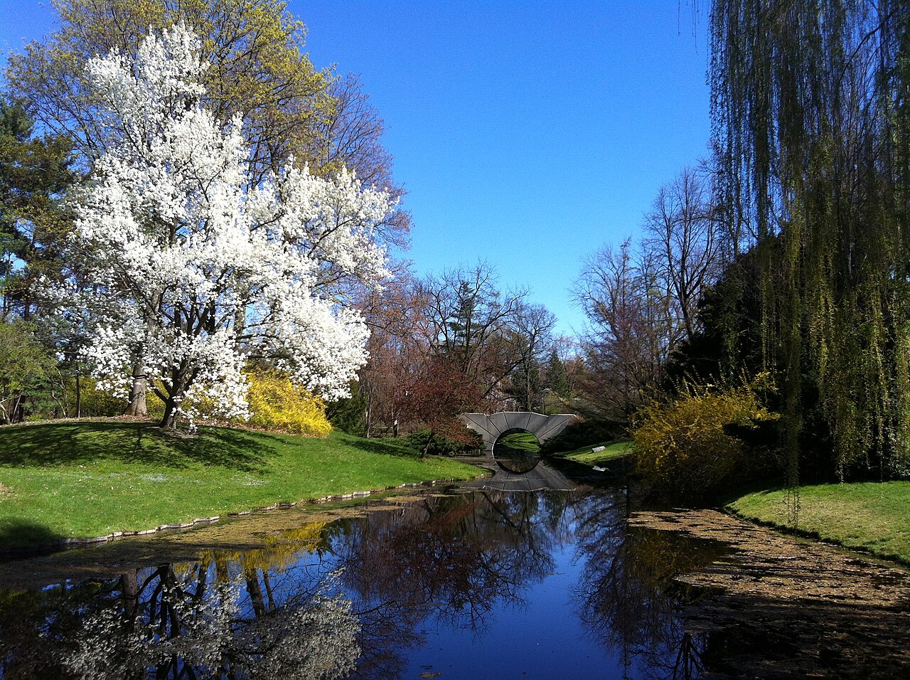 Dow Gardens in spring